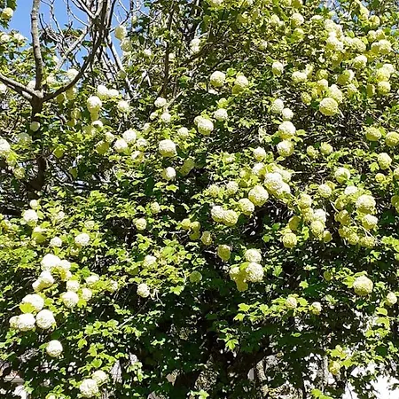 Appartement La Casa Di Romeo *