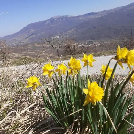 Appartement La Casa Di Romeo *