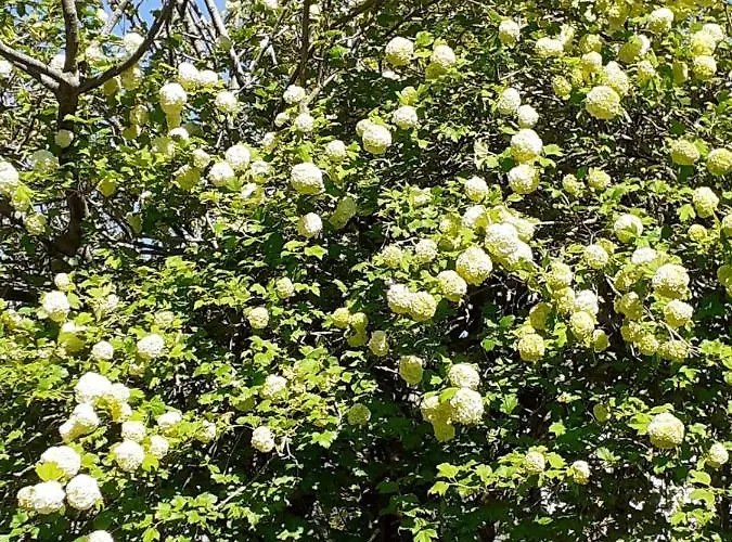 Apartman La Casa Di Romeo *