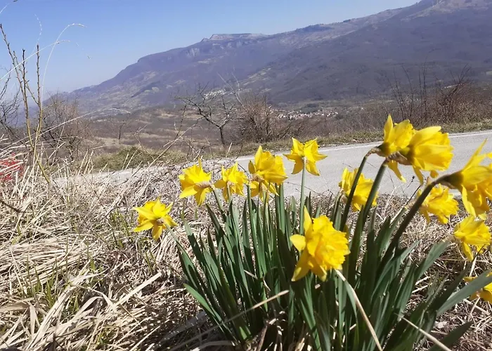 Apartman La Casa Di Romeo *